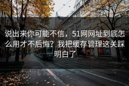 说出来你可能不信，51网网址到底怎么用才不后悔？我把缓存管理这关踩明白了