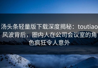 汤头条轻量版下载深度揭秘：toutiao风波背后，圈内人在公司会议室的角色疯狂令人意外