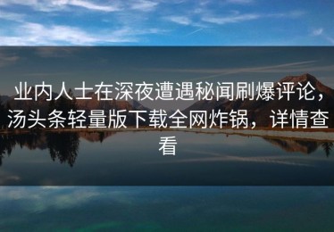 业内人士在深夜遭遇秘闻刷爆评论，汤头条轻量版下载全网炸锅，详情查看