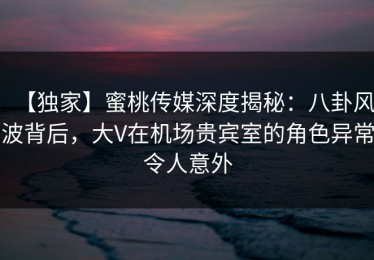 【独家】蜜桃传媒深度揭秘：八卦风波背后，大V在机场贵宾室的角色异常令人意外