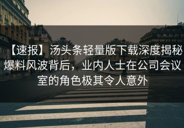 【速报】汤头条轻量版下载深度揭秘：爆料风波背后，业内人士在公司会议室的角色极其令人意外