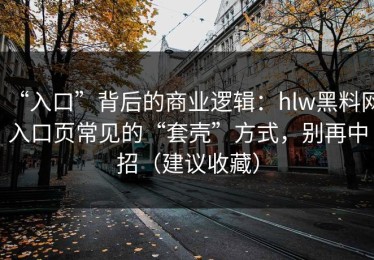 “入口”背后的商业逻辑：hlw黑料网入口页常见的“套壳”方式，别再中招（建议收藏）