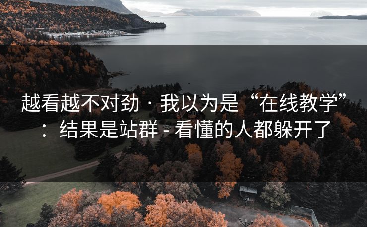 越看越不对劲 · 我以为是“在线教学”:结果是站群 - 看懂的人都躲开了 越看越不对劲 · 我以为是“在线教学”:结果是站群 - 看懂的人都躲开了