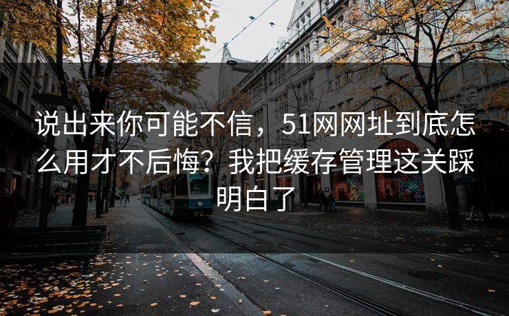 说出来你可能不信,51网网址到底怎么用才不后悔?我把缓存管理这关踩明白了 说出来你可能不信,51网网址到底怎么用才不后悔?我把缓存管理这关踩明白了